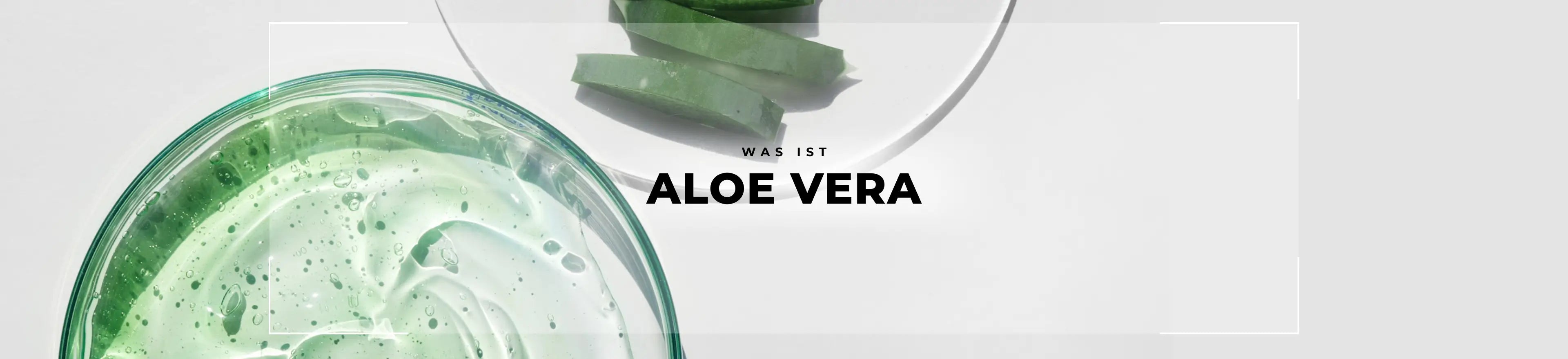 Wirkstoff Glossar Aloe Vera Desktop