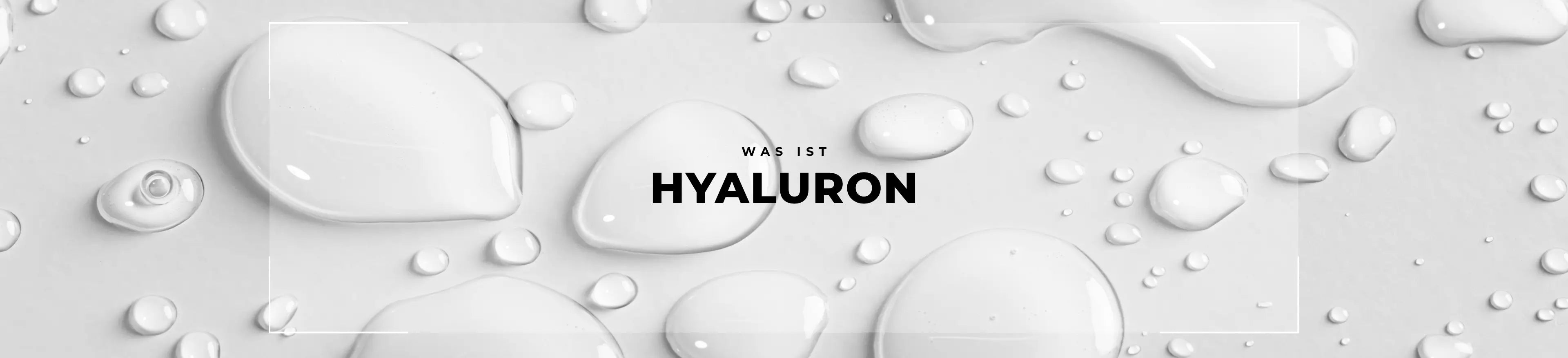 Wirkstoffglossar Hyaluron Header desktop